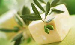 Suspendisse arcu nisl